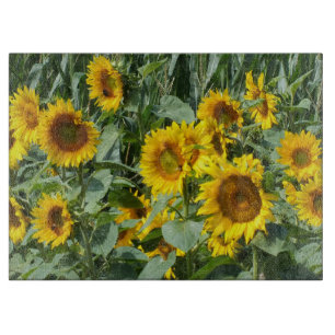 flower, sun, plant, nature, summer, floral, cutting board