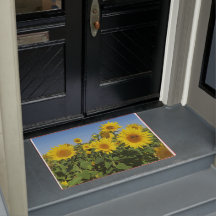 flower, sun, plant, nature, summer, floral,