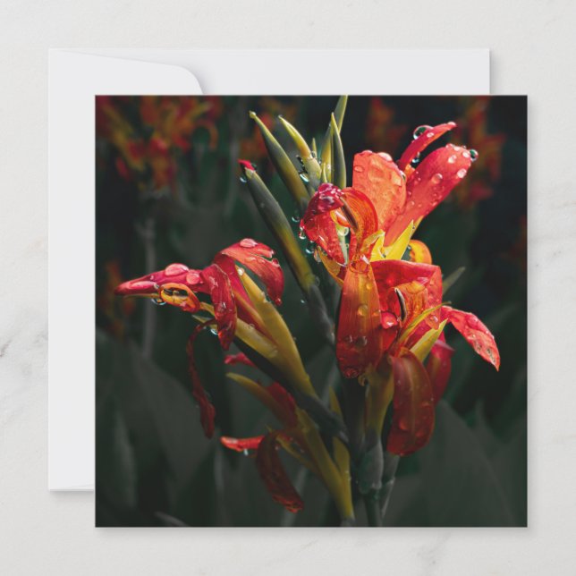 Flower Thank You Card (Front)