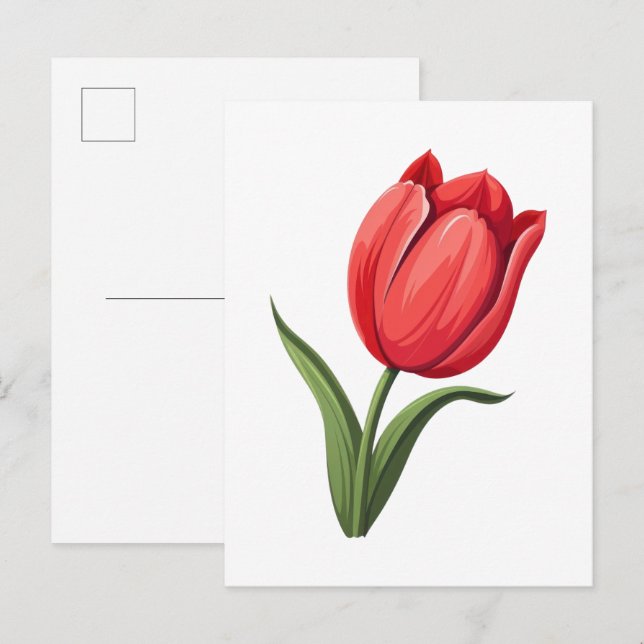 Flower Tulip Postcard (Front/Back)