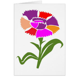 FLOWER : Unusual  Colour Scheme