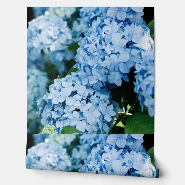 Flower Wallpaper (Unrolling)