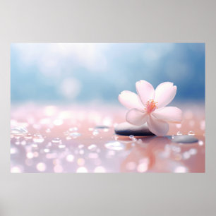 Flower Water Drop Nature Serene Tranquil Poster