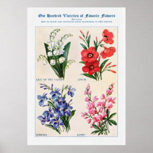 Flower Watercolor 4 Poster