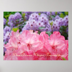 Flower Whisper Friendship art prints Pink Rhodies