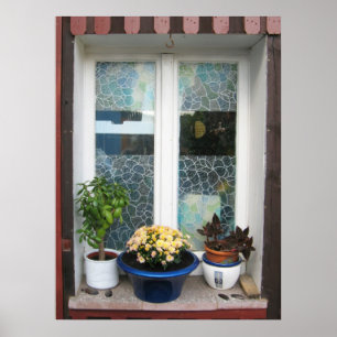 flower window poster