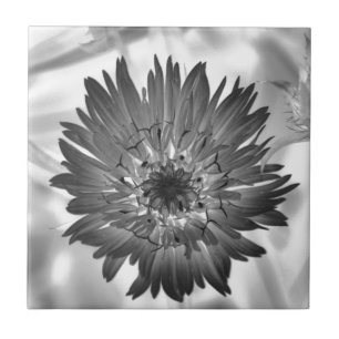 flower xray tile