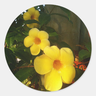 Flower Yellow Cocoa Beach 2014 jGibney The MUSEUM Classic Round Sticker