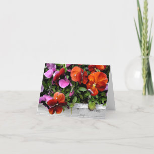 Flowerbox of Pansies Card