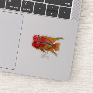 Flowerhorn cichlid fish cartoon illustration