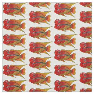 Flowerhorn cichlid fish cartoon illustration fabric