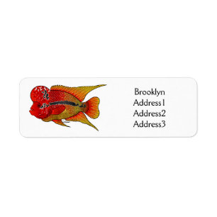 Flowerhorn cichlid fish cartoon illustration return address label