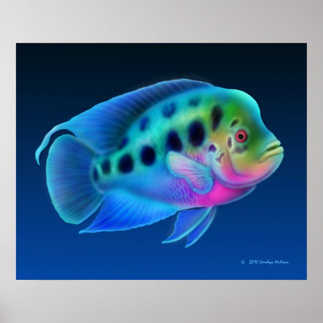 Flowerhorn Cichlid Fish Print (Front)