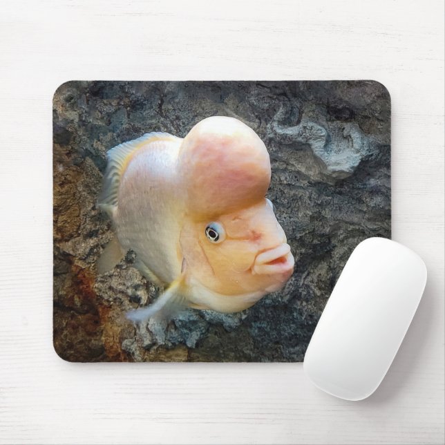 Flowerhorn Fish  Mouse Pad (With Mouse)