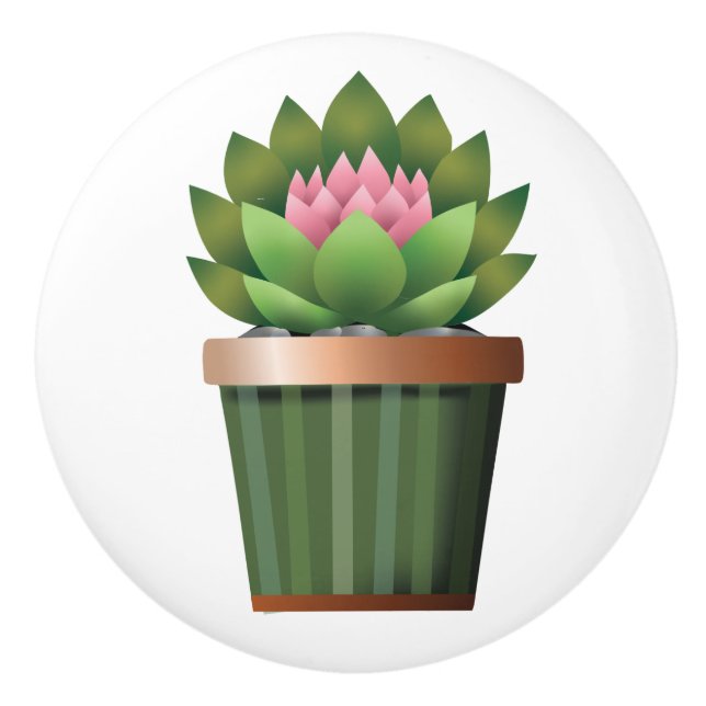 Flowering Aeonium Ceramic Knob (Front)