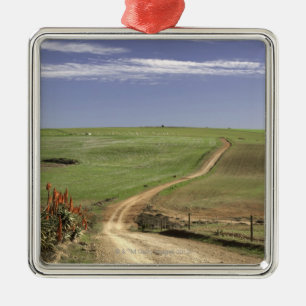 Flowering aloes near Caledon, Western Cape Metal Ornament