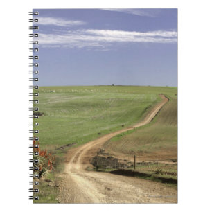 Flowering aloes near Caledon, Western Cape Notebook
