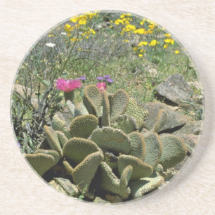 Flowering Beavertail Cactus With Wildflowers flowe Coaster