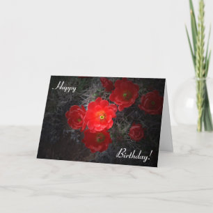 Flowering Cactus Birthday Card