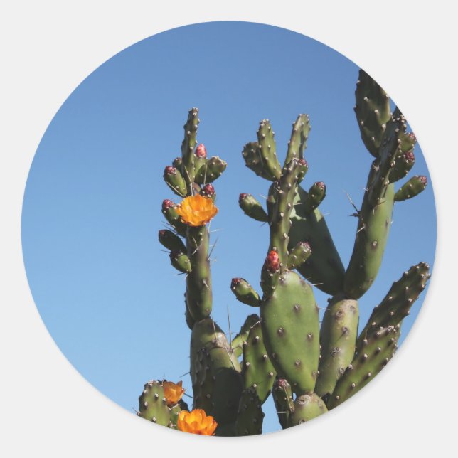 Flowering Cactus prickly pear Opuntia Sticker (Front)