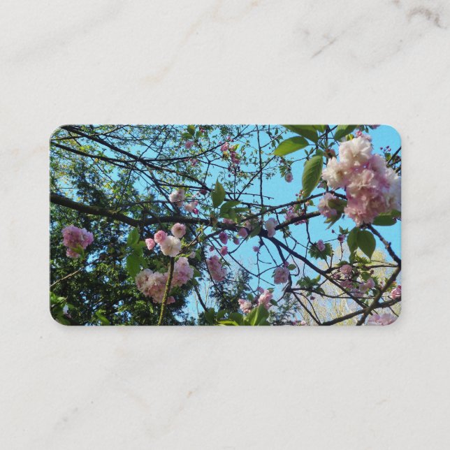 Flowering Cherry, Nature Business Cards, Pink Business Card (Front)