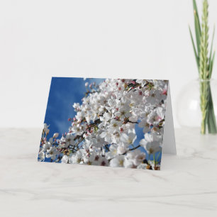 Flowering Cherry Tree Card