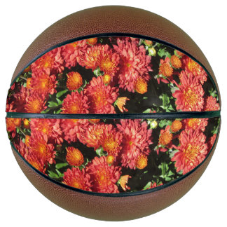 Flowering Chrysanthemum Basketball