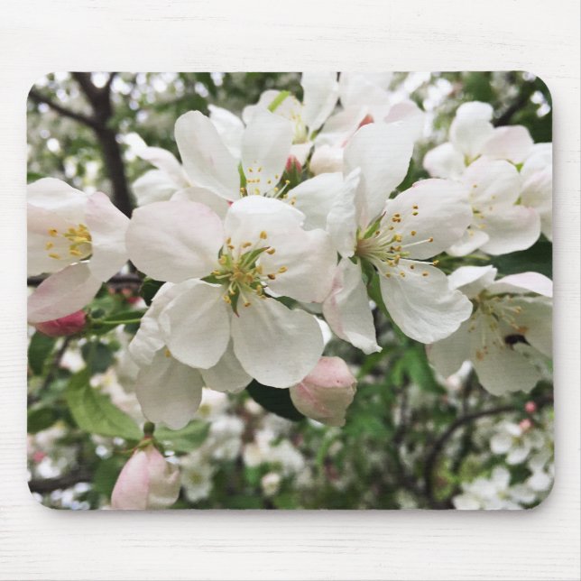 Flowering Crabapple Mouse Pad (Front)