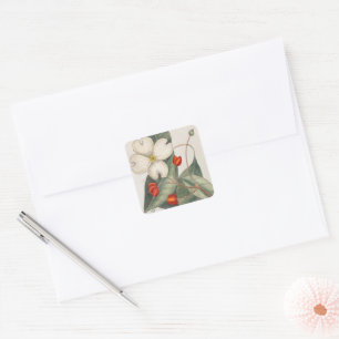 Flowering Dogwood 18th Century Botanical Art Square Sticker