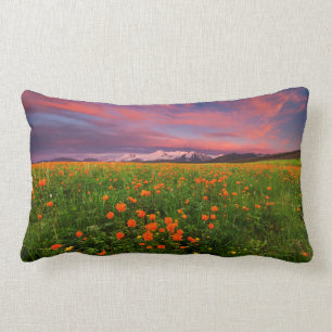 Flowering Globe Flower Lumbar Cushion