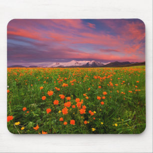 Flowering Globe Flower Mouse Pad