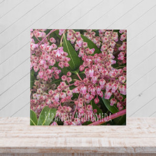 Flowering Japanese Andromeda Plant Floral Ceramic Tile
