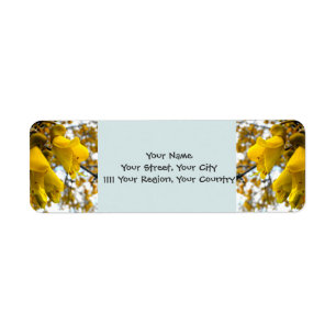 Flowering Kowhai Tree Return Address Label