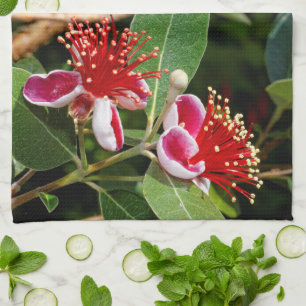 Flowering Pineapple Guava / Guavasteen Tea Towel