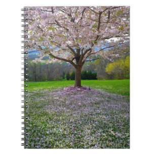 Flowering Pink Cherry Blossom Tree with Woods Notebook