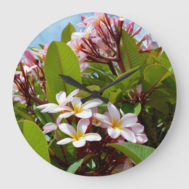 Flowering Pink Frangipani Tree, Large Clock (Front)