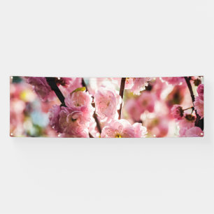 Flowering Plum - Pink Paradize Banner