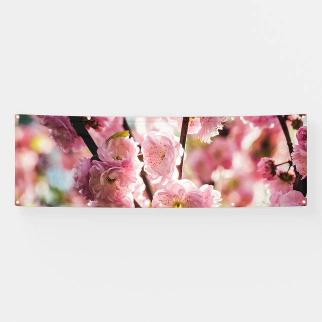 Flowering Plum - Pink Paradize Banner (Horizontal)
