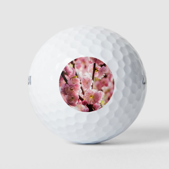 Flowering Plum - Pink Paradize Golf Balls (Front)