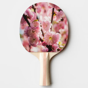 Flowering Plum - Pink Paradize Ping Pong Paddle