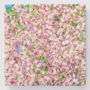 Flowering Plum Stone Coaster