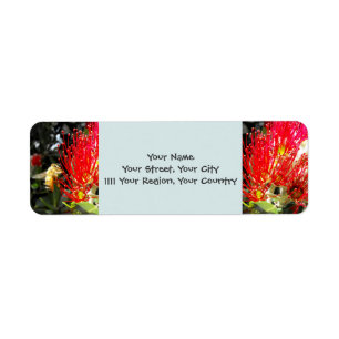 Flowering Pohutukawa Tree Return Address Label