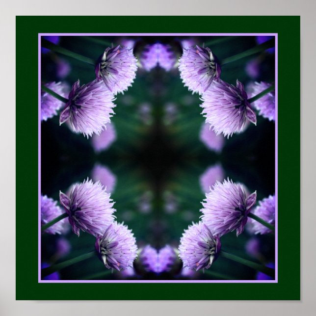 Flowering Purple Scallion Onion Close Up Abstract Poster (Front)
