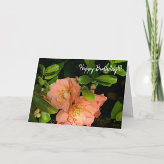 Flowering Quince 1-18 greeting card