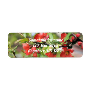 Flowering Quince Red Blossoms Address Return Address Label