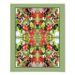 Flowering Quince Red Blossoms Mirror Abstract 8x10 Photo Print