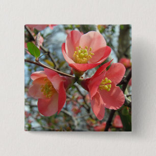 Flowering Quince Tree 15 Cm Square Badge