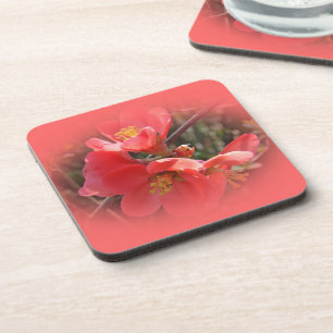 Flowering Quince Tree Coaster