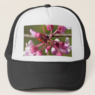 Flowering Redbud with Ladybug Trucker Hat