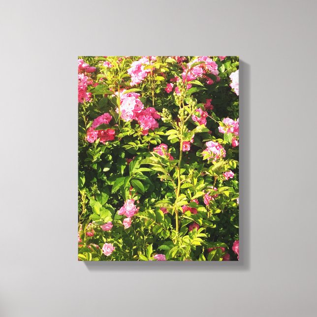 Flowering Rosarium  Canvas Print (Front)